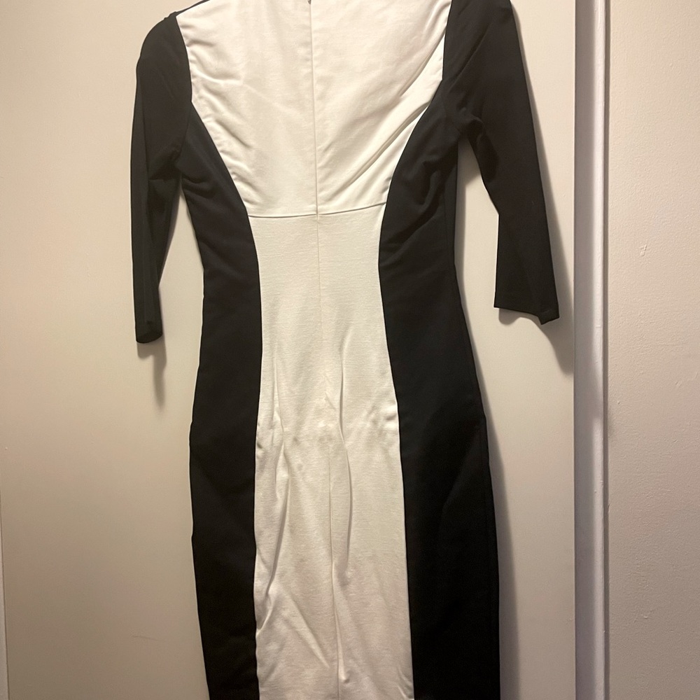 Ted Baker women’s Dress